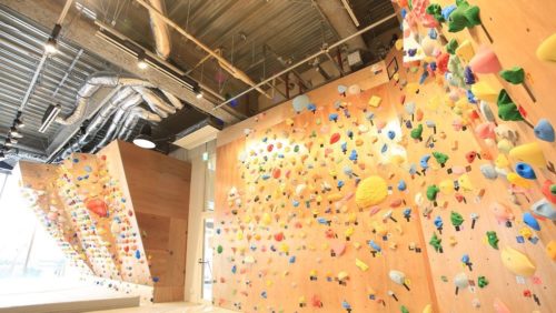 神奈川県のクライミング施設「ボルダリングジム Rock&Wall（ロックアンドウォール）」